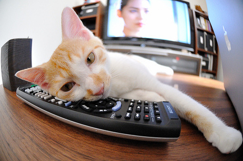 裁判职业化改革加速争议判罚大幅减少,裁判的基本职业素养